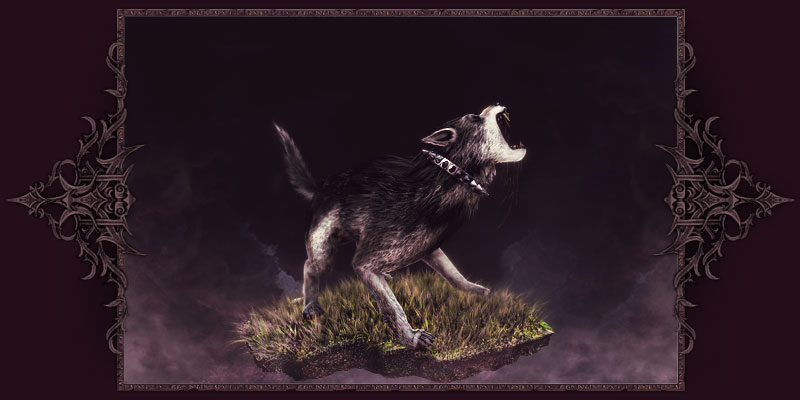 TollwÃ¼tiger Wolfshund